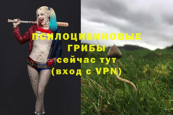 стафф Волосово