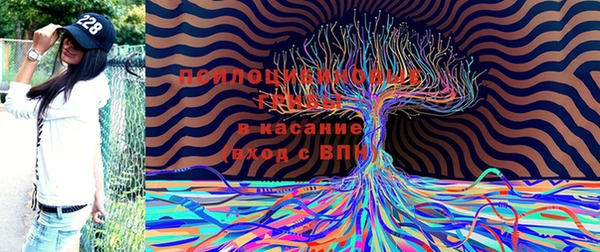 стафф Волосово